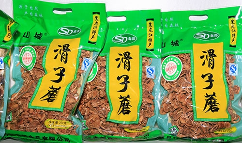 遼寧滑子蘑