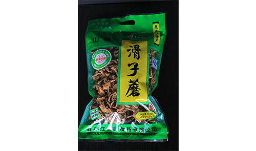 滑子蘑