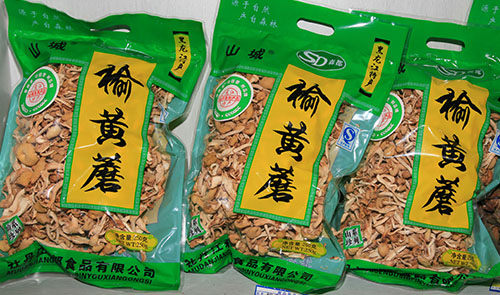 秋木耳